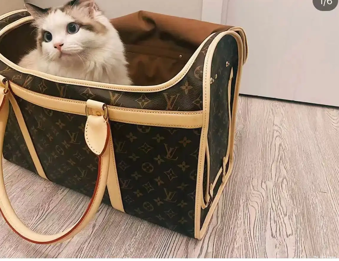 CUSTOM BAG LV PET 0605